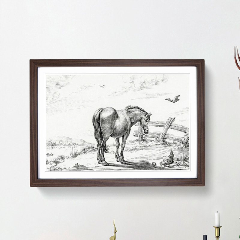 Horse in a Meadow by Jean Bernard - Picture Frame Drawing Print, Walnut Framed, 48cm H x 65cm W x 2cm D