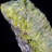 Pyromorphite Crystals. Daoping Mine
