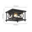 Plafonnier encastré noir à 2 lumières pour l'intérieur et l'extérieur, avec verre transparent