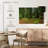 Alvord Muir Woods Forest-108700359