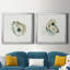 «Old Salt Shell I», ensemble de 2 reproductions d'art encadrées-2118285760-2048829126-2126001040