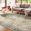 Tapis oriental gris Appolonie-2063840996