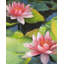 Nénuphars et fleurs de lotus - impression de chambre à coucher botanique-878221700-878221703