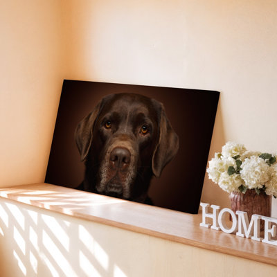 Reproduction d'art sur toile chocolat chocolat Labrador Retriever face au chien