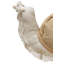 Cushion Lazy Snail