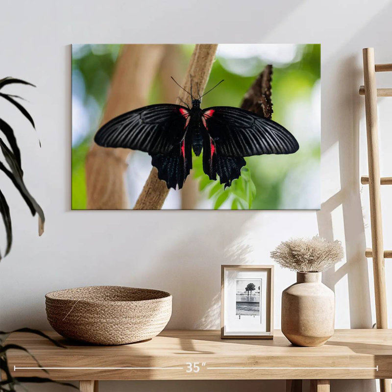 Brampt Swallowtail Butterfly, 16" H x 24" W