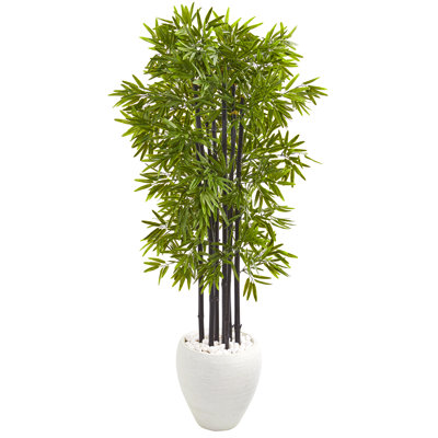 Bamboo Tree in White Planter UV Resistant