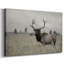 Toile tendue Grand Elk-Gallery-203117846
