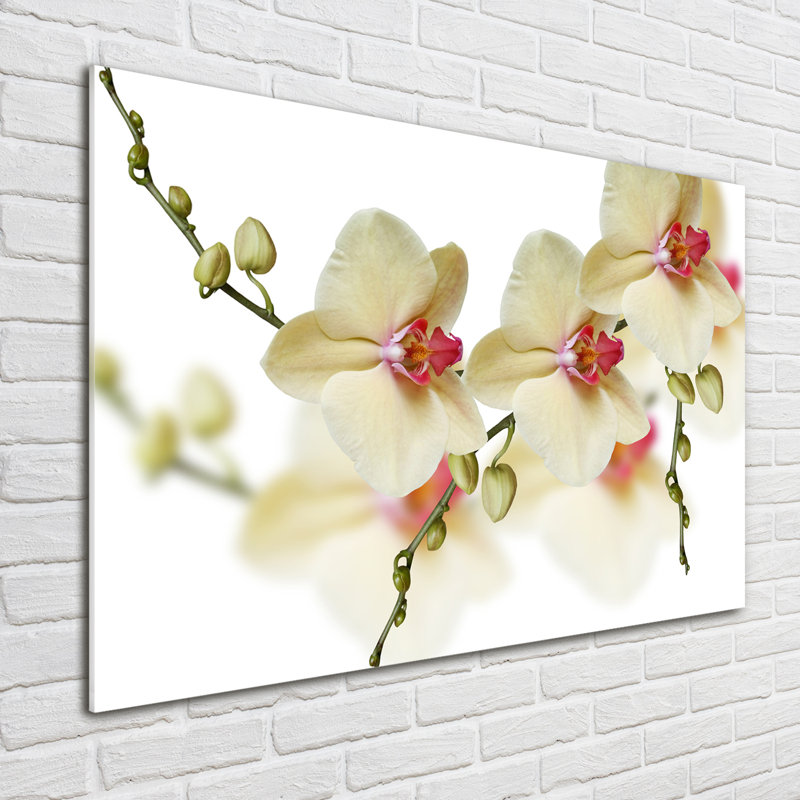 Orchid - No Frame Print on Glass