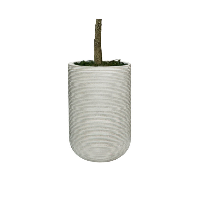 UV Rated 5.5' Magnolia Tree in Weather Resistant Fiberstone Pot