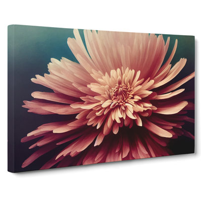 Bold Chrysanthemum Flower - Wrapped Canvas