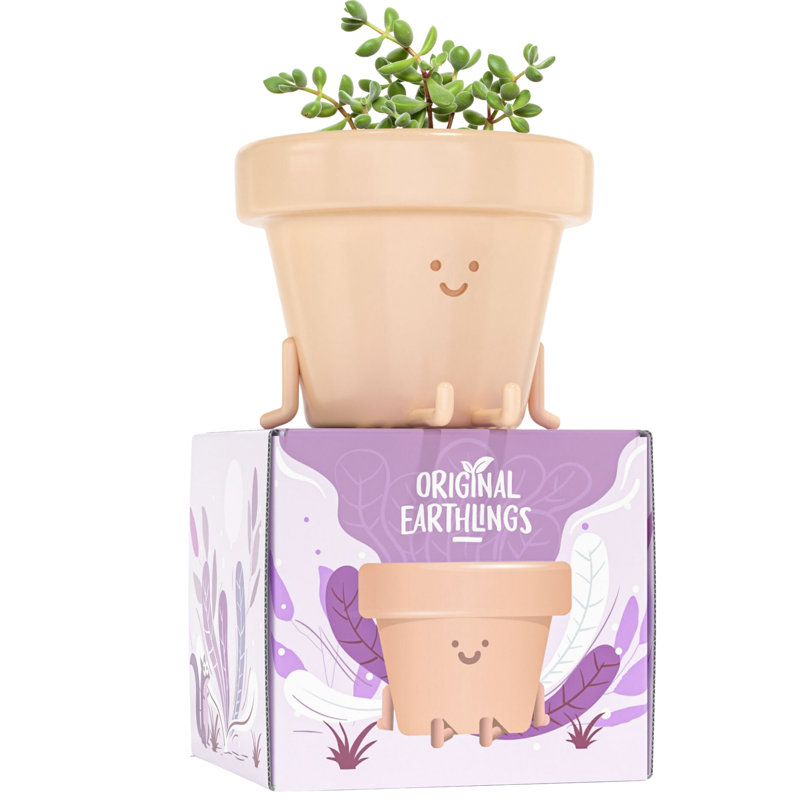 Cute Pots Pot Planter