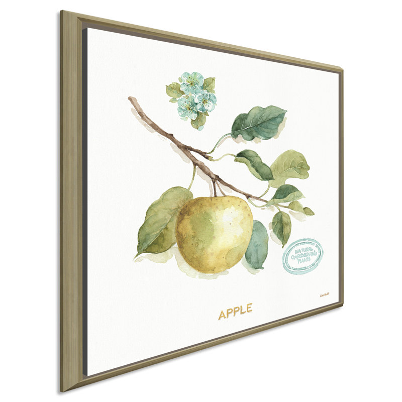 «My Greenhouse Fruit IV», reproduction de peinture à l'aquarelle, H 21,5 po x l 21,5 po x P 2 po, Cadre flottant champagne