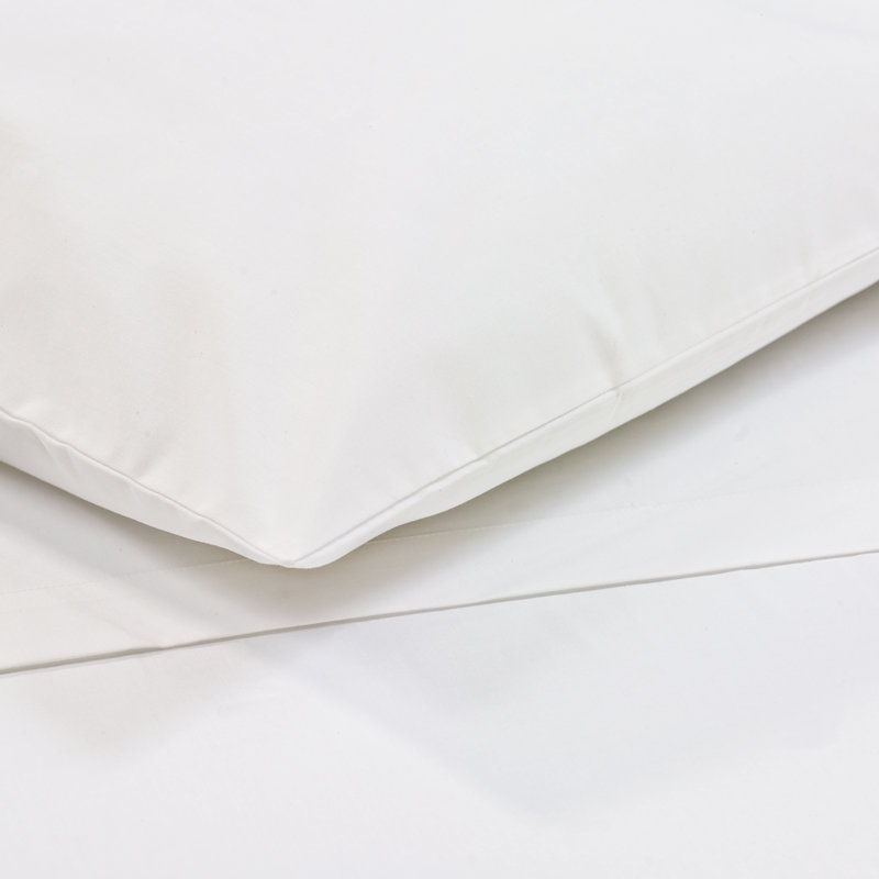 White Standard T-200 Thread Count Pillow Case 12 PK By Rifz, Twin