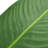 Artificial Tree In Planter, Fake Bird of Paradise Silk Tree Home Decoration (Plant Pot Plus Tree)-338543038-353484230