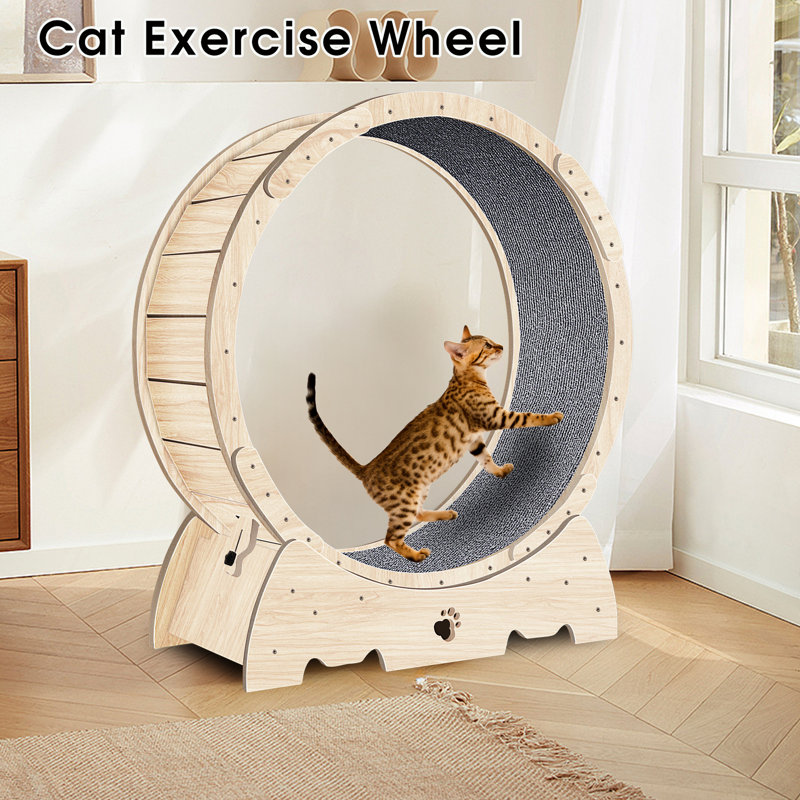 Fawzan Cat Perch