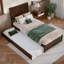 Avdesh Solid Wood Sleigh Trundle Extra Bed-17206720-17206721