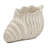 11.5X7x7" Sand And Cement Nautilus Shell Planter With Textured Beige Finish