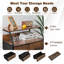 Dmitriy Standard Accent Chest