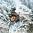 Lumiere Rustic Flocked Tabletop Tree With Pot Base, Warm White LED Lights, Tips, PE+PVC Branches