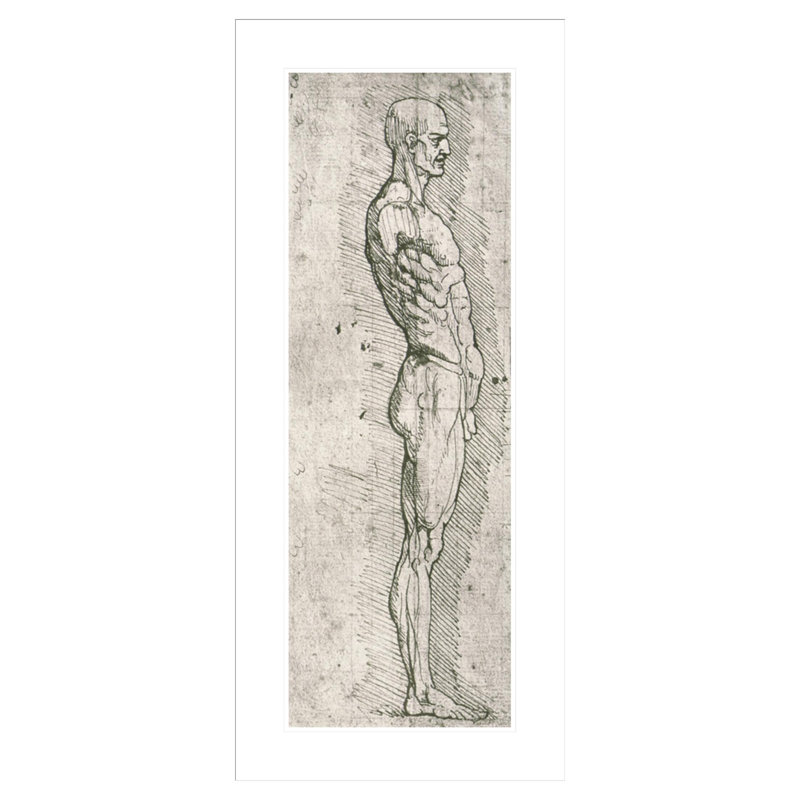«Anatomical Study» (photo en noir et blanc) par Leonardo Da Vinci - Estampe numérique encadrée, H 41,5 po x l 19,08 po