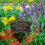 Song Bird Personalized Garden Sign-948510617