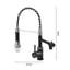 Belfry Kitchen Pull Out Kitchen Faucet