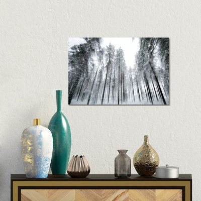 Trees In Motion by Andreas Stridsberg - Gallery-Wrapped Canvas Giclée on Canvas