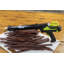 Chard Electric Jerky Shooter