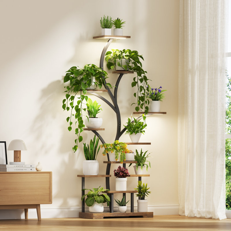 17 Stories 63" Tall Plant Stand Indoor with Grow Lights, Brown & Reviews |  Wayfair