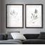 Simple sauge - ensemble de 2 reproductions d'art encadrées-1578471023-1541205128-1578471018