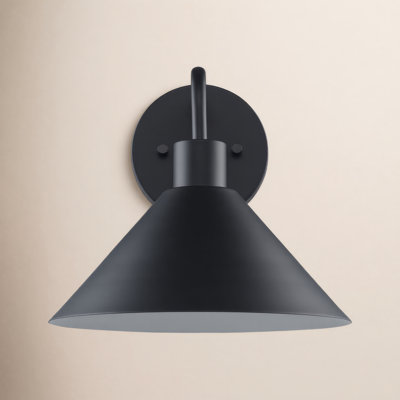 Fayra Industrial Wall Sconce