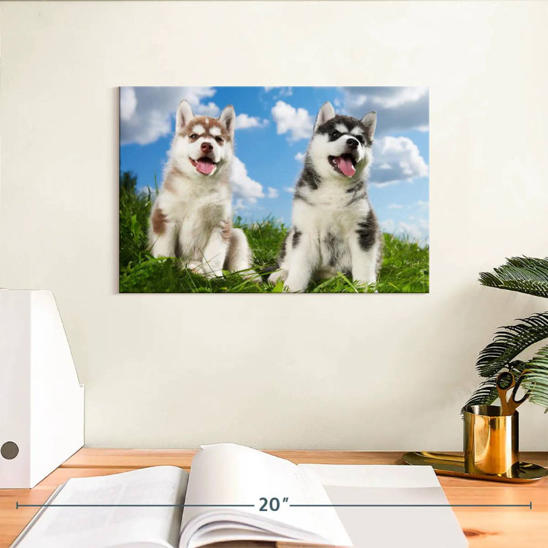 Husky Babies, H 8 po x l 12 po