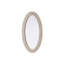 Miroir Dennard-108455843