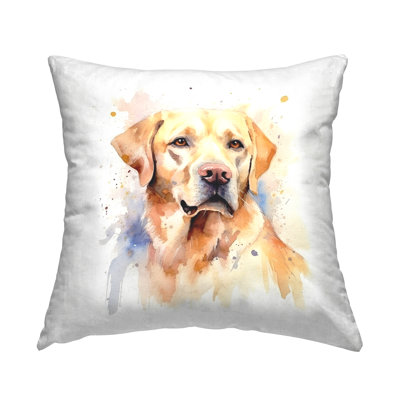 Throw Pillow