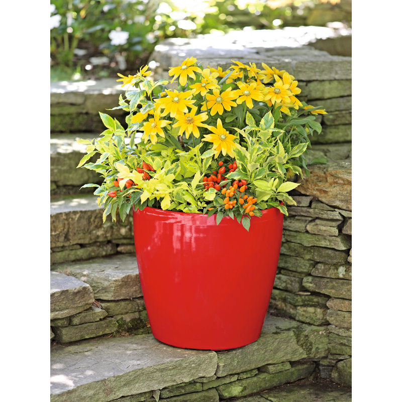 Viva Self-Watering Large Rolling Planter, 17", Red