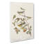 Warbler Birds by John Audubon - Wrapped Canvas-55370237