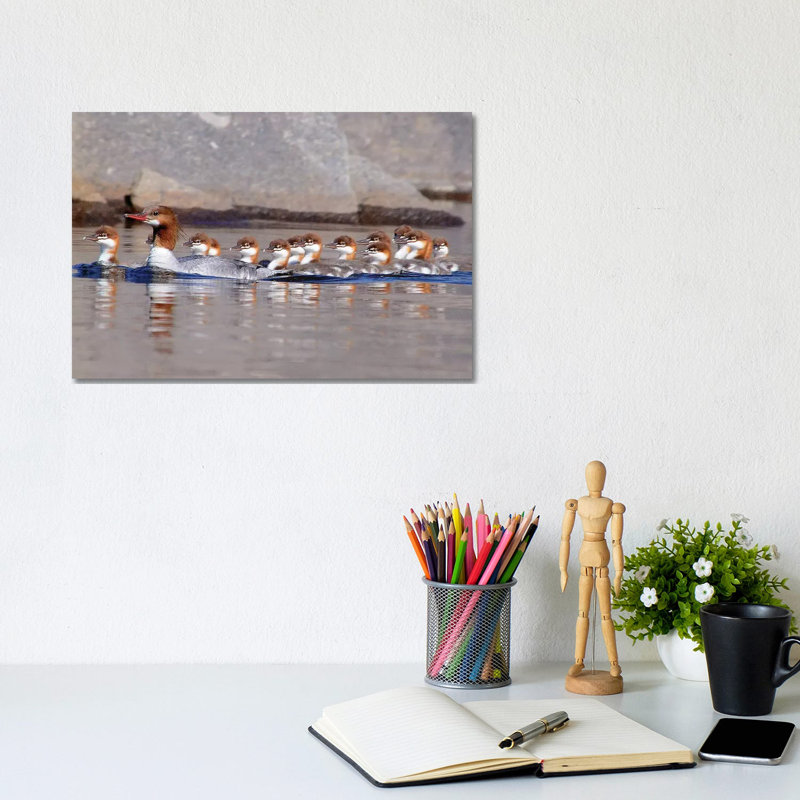 «Merganser and Chicks» par Brian Wolf - photographie sur toile tendue, H 8 po x l 12 po x P 0,75 po