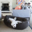 Traversin pour chien-1014587146-1014587190