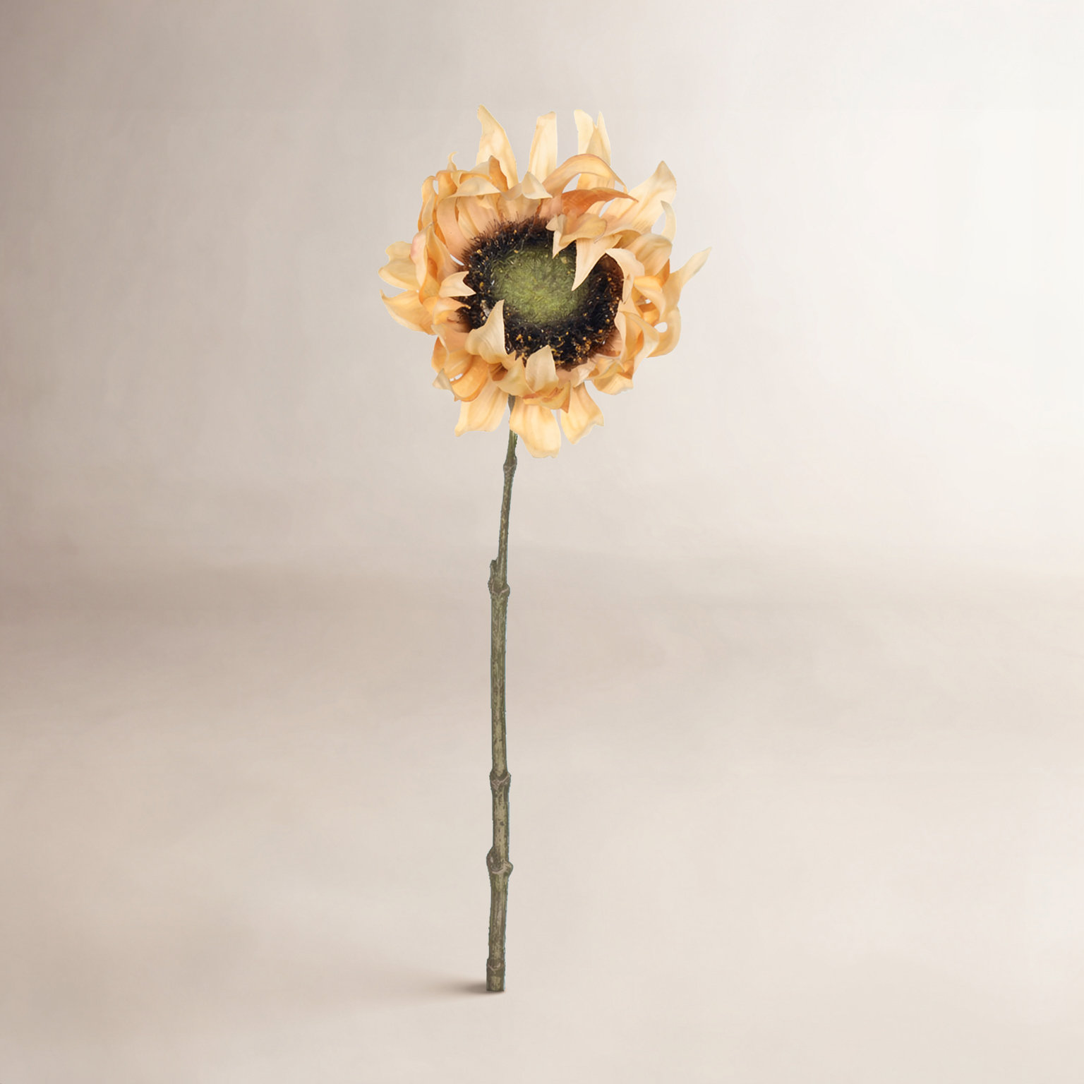 Sunflower Floral Stems, Mustard