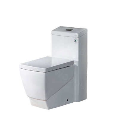 Dual-Flush Elongated One-Piece Toilet