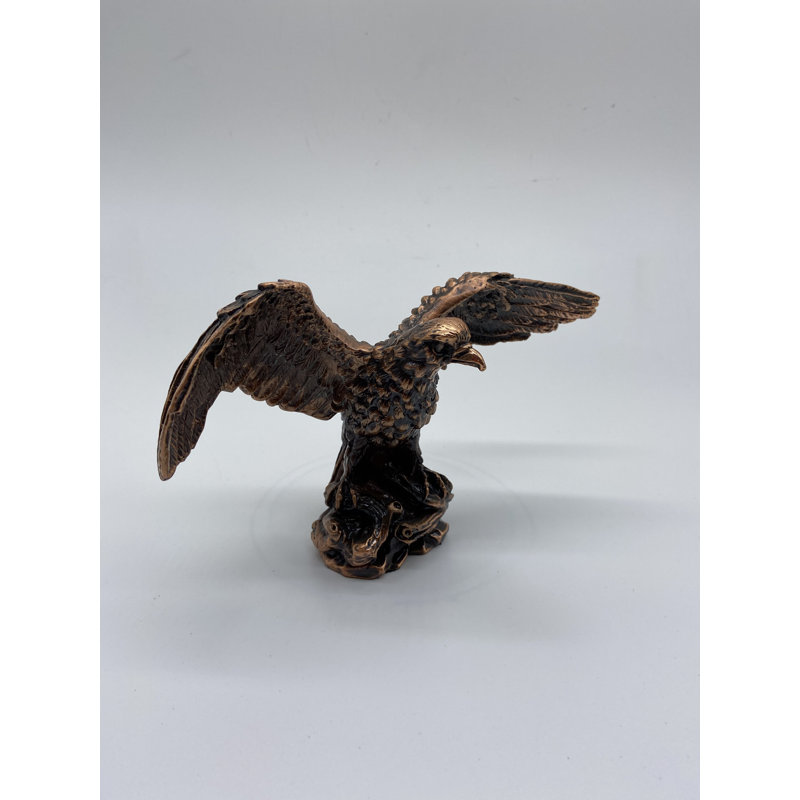 Aigle sur rocher avec espadon