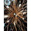 Lustre sphérique spoutnik à 15 lumières Brence-1450914878