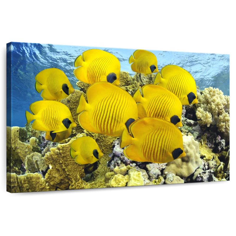 Crowle - poisson jaune, H 26 po x l 39 po