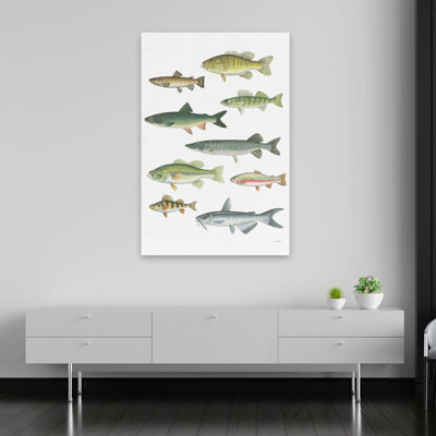 «Fresh Catch V - Animal Bass Blue Brown Trout Art»
