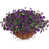 Dark Purple selected