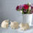 3 Piece Little Pigs Figurine