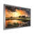 Silver Single Picture Framed