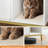 Litter Box Enclosure