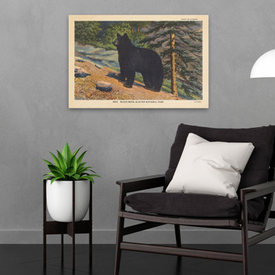 Black Bear I - 0 Art
